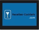 Screenshot gini recettes-cocktails.com logo