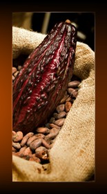 Sac f�ves cacao.
