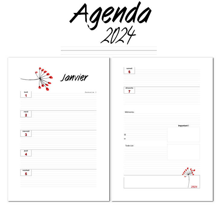 Agenda 2024 Semainier: A4 | Planificateur, Organiseur Hebdomadaire 1  semaine sur 2 pages (janvier 2024 / décembre 2024) avec planification  mensuelle 