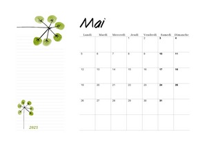 PLANNING DE MAI 2025