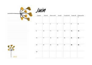 PLANNING DE JUIN 2025