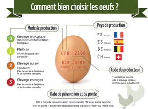 Classification pour choisir les œufs 0, 1, 2 ou 3.