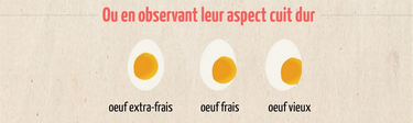 oeuf périmé - test oeuf dur