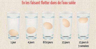 oeuf périmé - test de oeuf qui flotte dans eau salée.