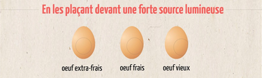 oeuf périmé - test devant source lumineuse