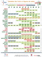 saisonnier-fruits-et-legumes-calendrier-pdf