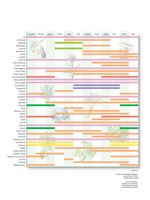 Calendrier avec la liste de légumes de saison. 