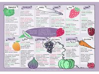Calendrier des fruits et légumes saisonnier