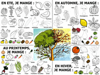 Le calendrier des fruits et légumes de saison à colorier.