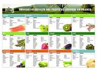 Calendrier fruits et légumes de saison