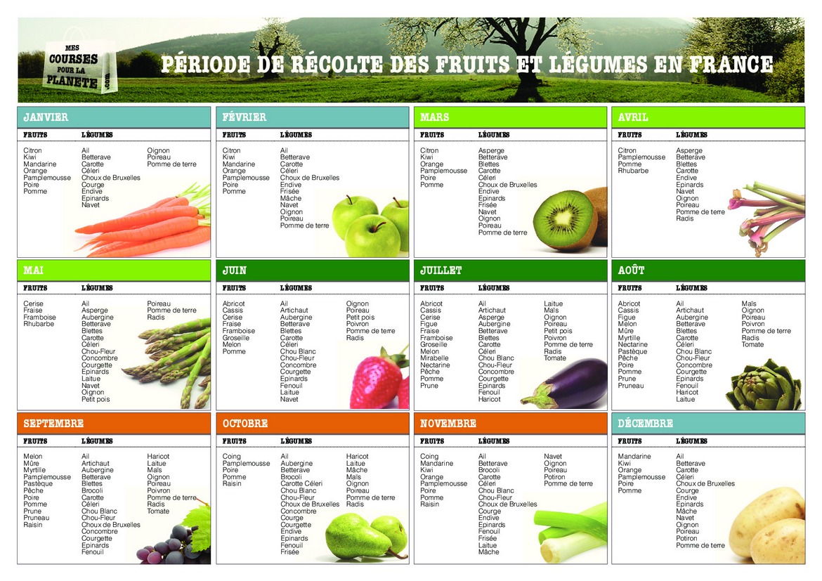 Bananes Oranges Poires Citrons Exercices Sur Les Fruits Et L gumes En 